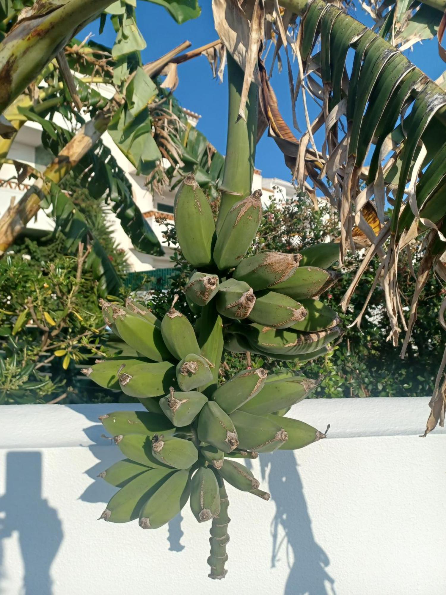 Ericeira Su Villa'S Экстерьер фото