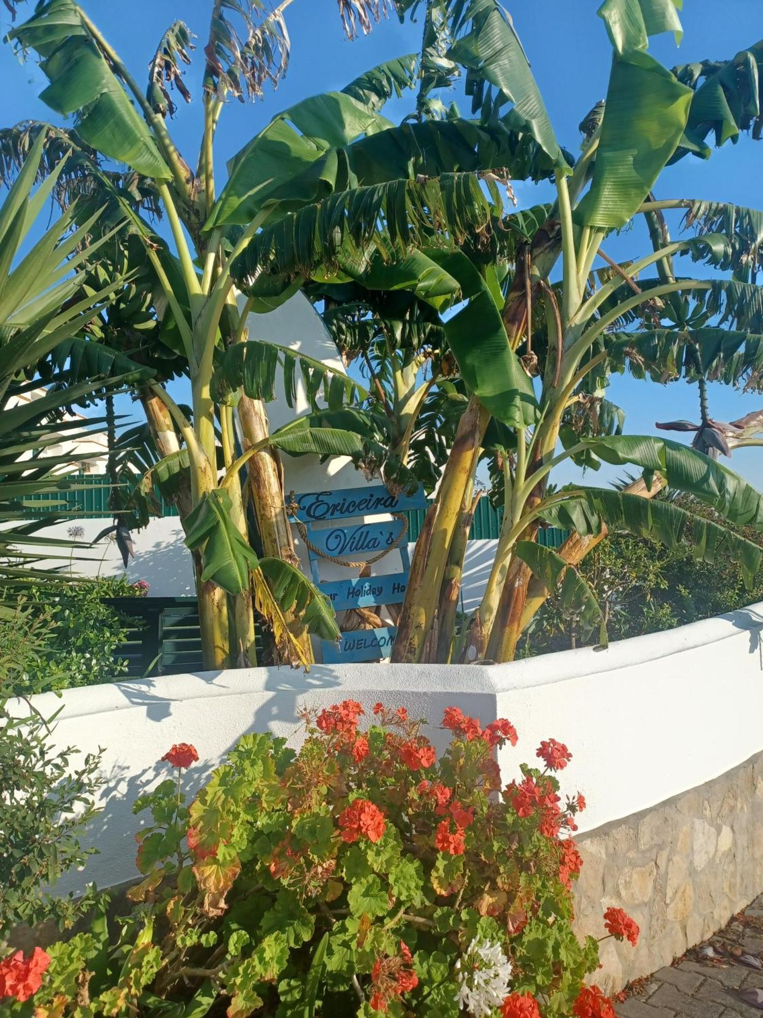 Ericeira Su Villa'S Экстерьер фото