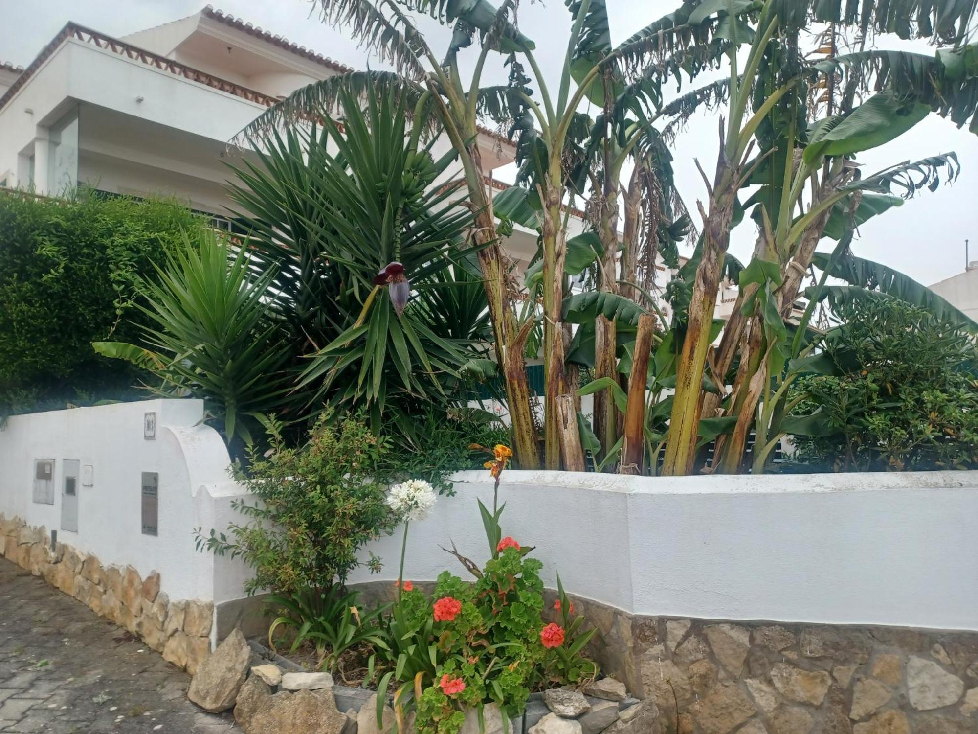 Ericeira Su Villa'S Экстерьер фото